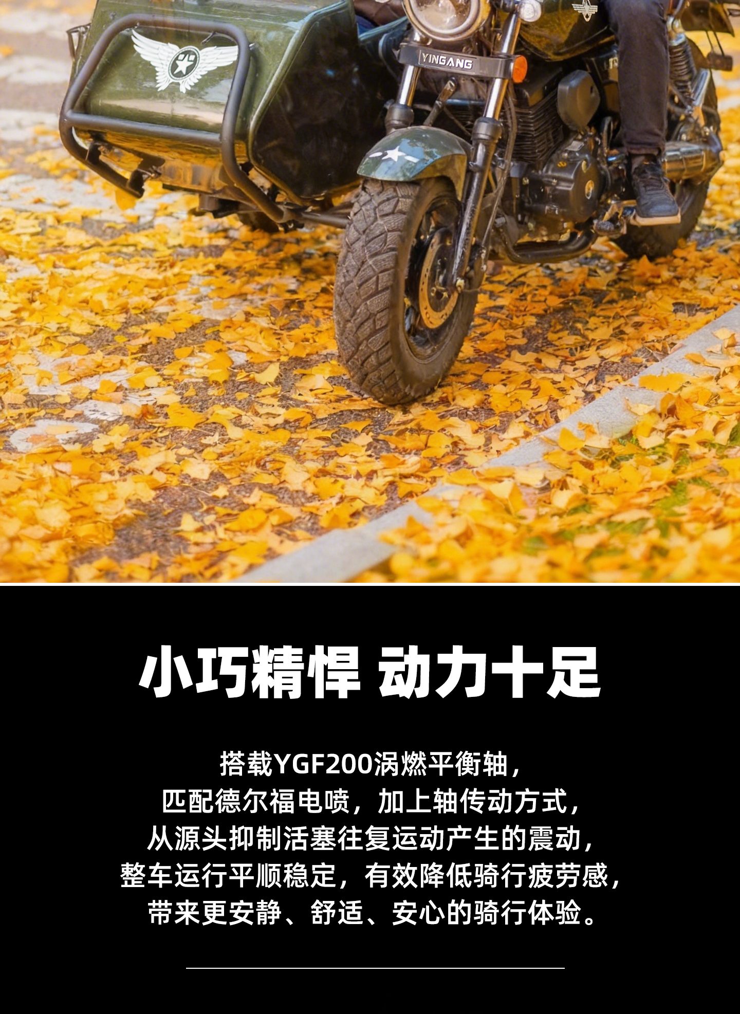 银钢巡逻者200(军绿色)产品详情(9)